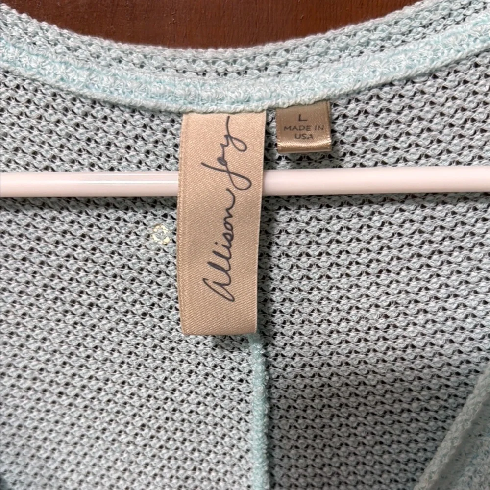Allison Joy EVEREVE Light Blue V-Neck Top sz Large - Picture 4 of 5